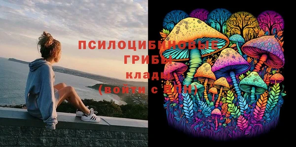 гашиш Няндома