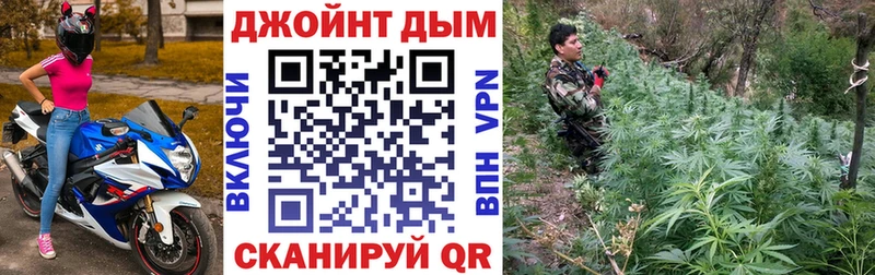 Канабис планчик где можно купить сайты даркнета состав Усть-Лабинск